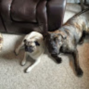 Meet your Posher, Jay